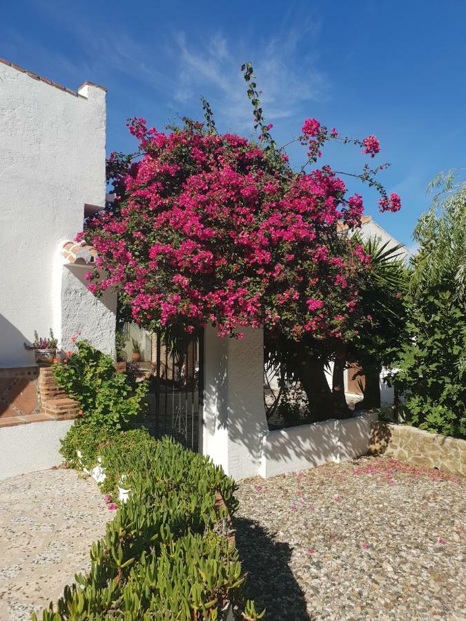 埃尔乔罗 Casa Fuente De La Zorra旅馆 外观 照片